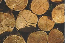 POLAR FURNACE Burn Seasoned Firewood in best furnace
