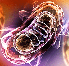 R-Mitochondrial-Dysfunction.gif
