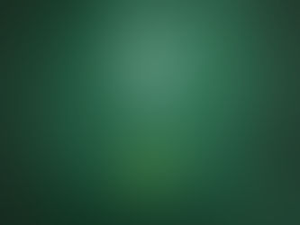 Is There a Plan for Sustainability?