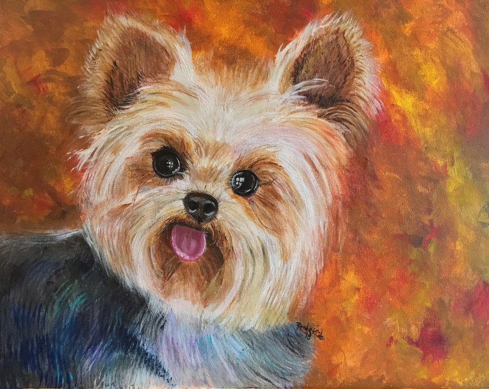 Yorkie