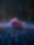 amethyst blueprint 2.png