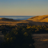 North-Fleurieu3small.jpg.webp