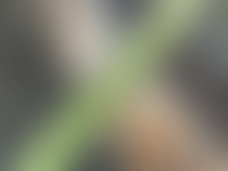 mom'sのこだわり 旬の食材