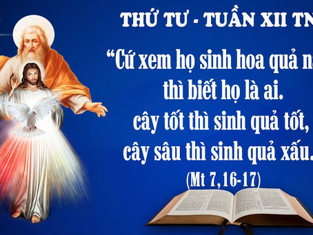 THỨ TƯ TUẦN XII THƯỜNG NIÊN - Mt 7:15-20 - LỜI CHÚA CHO MỌI NGƯỜI