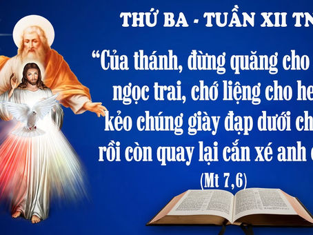 THỨ BA TUẦN XII THƯỜNG NIÊN - Mt 7:6.12-14 - LỜI CHÚA CHO MỌI NGƯỜI