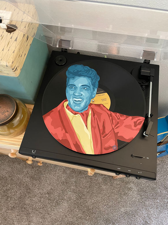 50s Rock n Roll The King of Rock Record Collection Painting Blue Pop Art Fun 