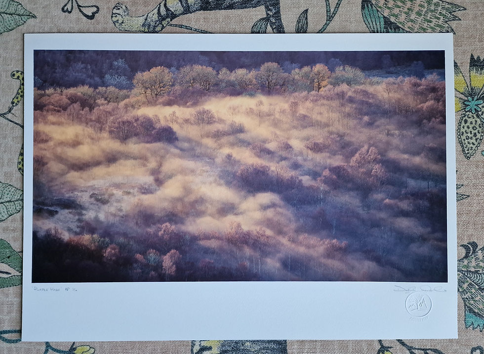 Thumbnail: 'Purple Haze' - printed on Fotospeed Cotton Etching 305g paper