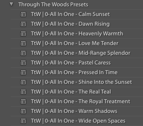 ALL IN ONE PRESETS