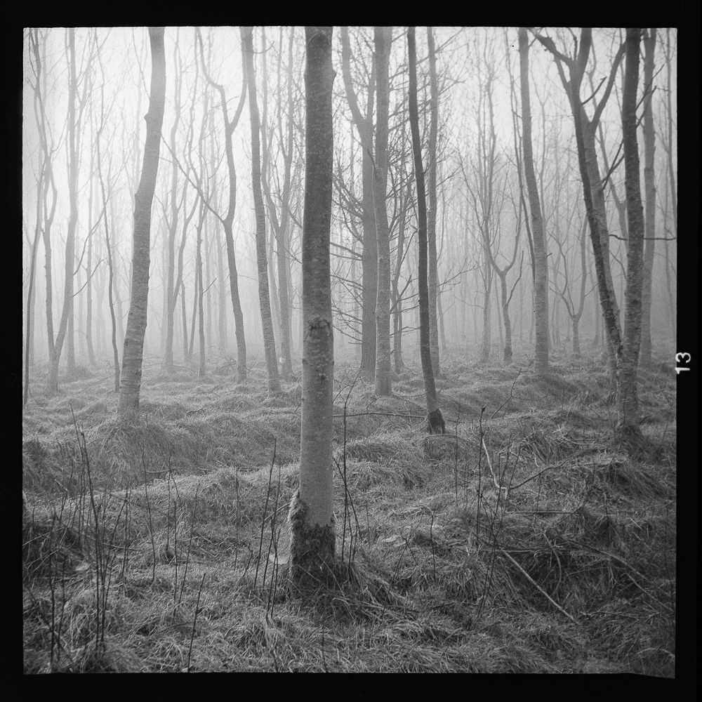 "Westraw #4" - on A5 Fotospeed Platinum Baryta 300g Signature paper