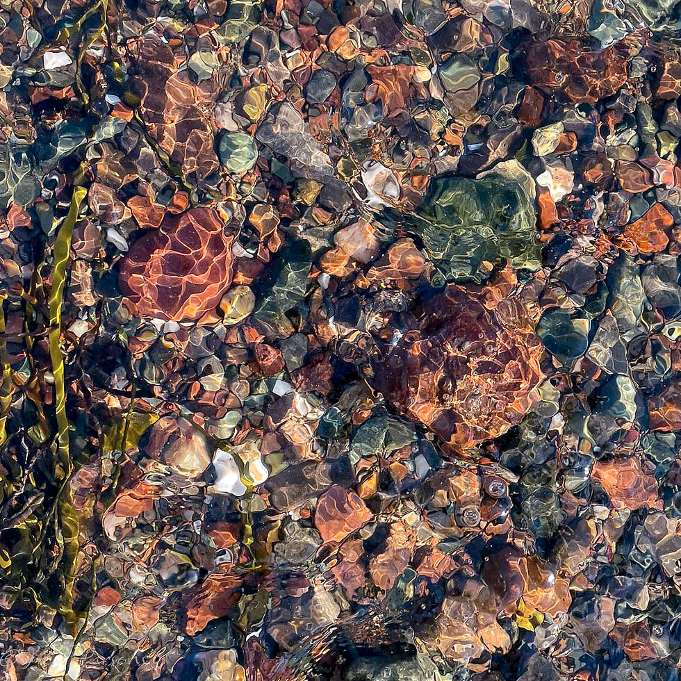 Rachel Parsons: Downeast Light Series: Reverie