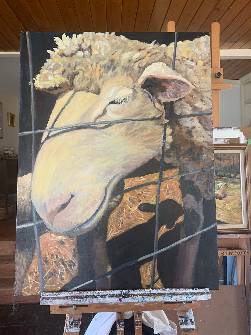Judy Clendenning: New Arrival