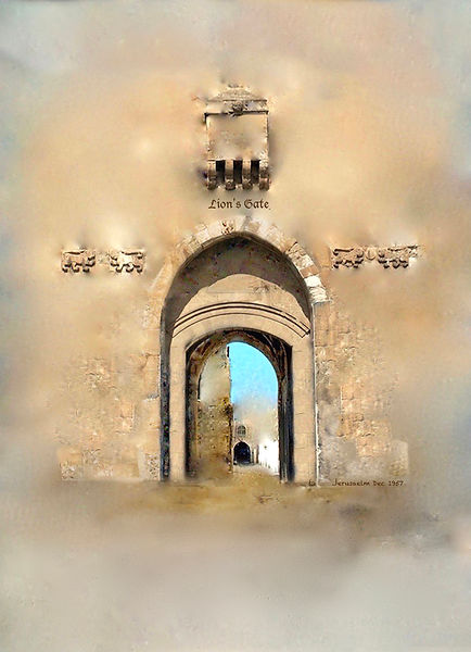 Judith Lungen - Lions Gate