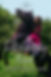Spring2026-Cover1.jpg
