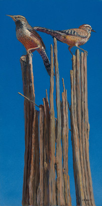 lookout entry a.jpeg