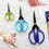 Thumbnail: Karen Kay Buckley Perfect Scissors