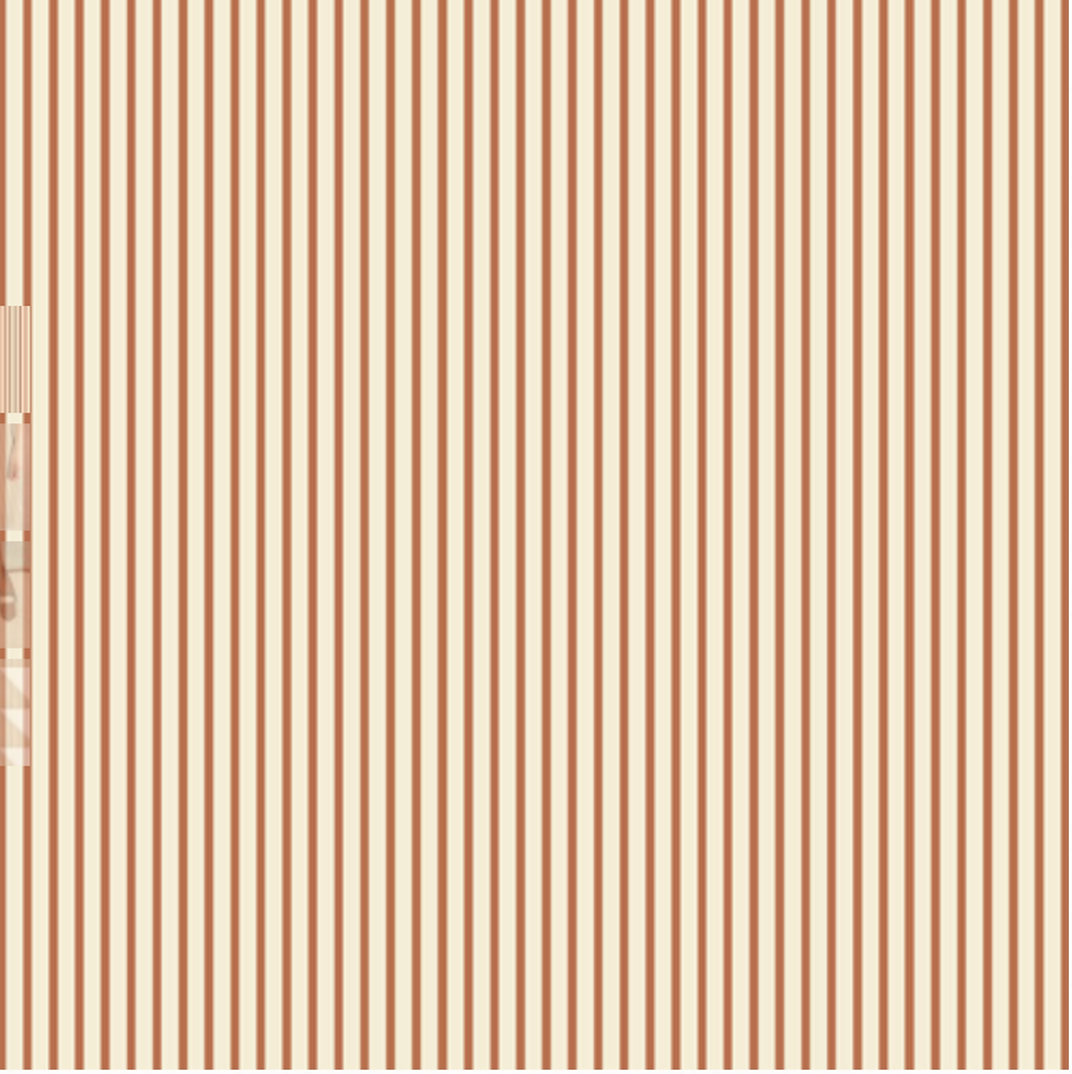 Backroads Umber Fabric (by Bonnie Christine)