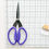 Thumbnail: Karen Kay Buckley Perfect Scissors
