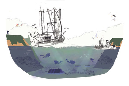 paysage, prospective, changement climatique, Normandie, littoral, montée des eaux, océan, pêche