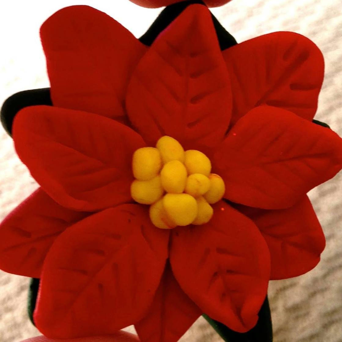Poinsettia Brooch