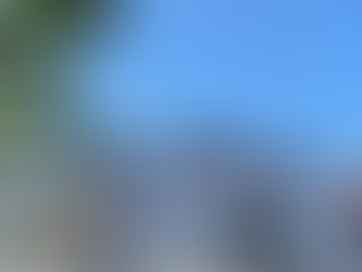 Concluye con éxito programa de descuentos en Ahome.