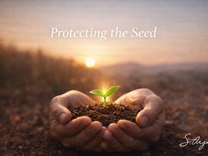 Hands gently holding soil with a small green seedling glowing in warm sunrise light, symbolizing protecting spiritual growth and new beginnings.