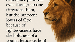 What Do Boldness, Guilt, and National Chaos Have in Common?