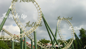 Roller Coaster Relationships