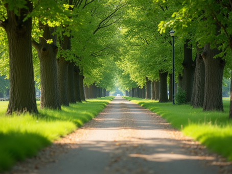 How Exercise for Mental Clarity Boosts Mental Wellbeing