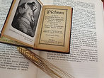 libri_Madre_Francesca02.jpg