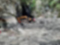 20210708_085735.jpg