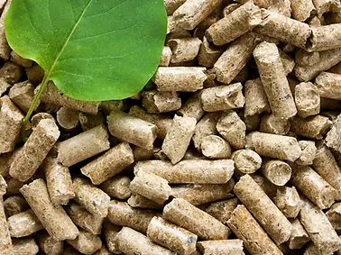 Wood-Pellets-2-1024x683.webp