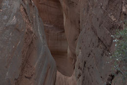 DSC_1652_edited.jpg