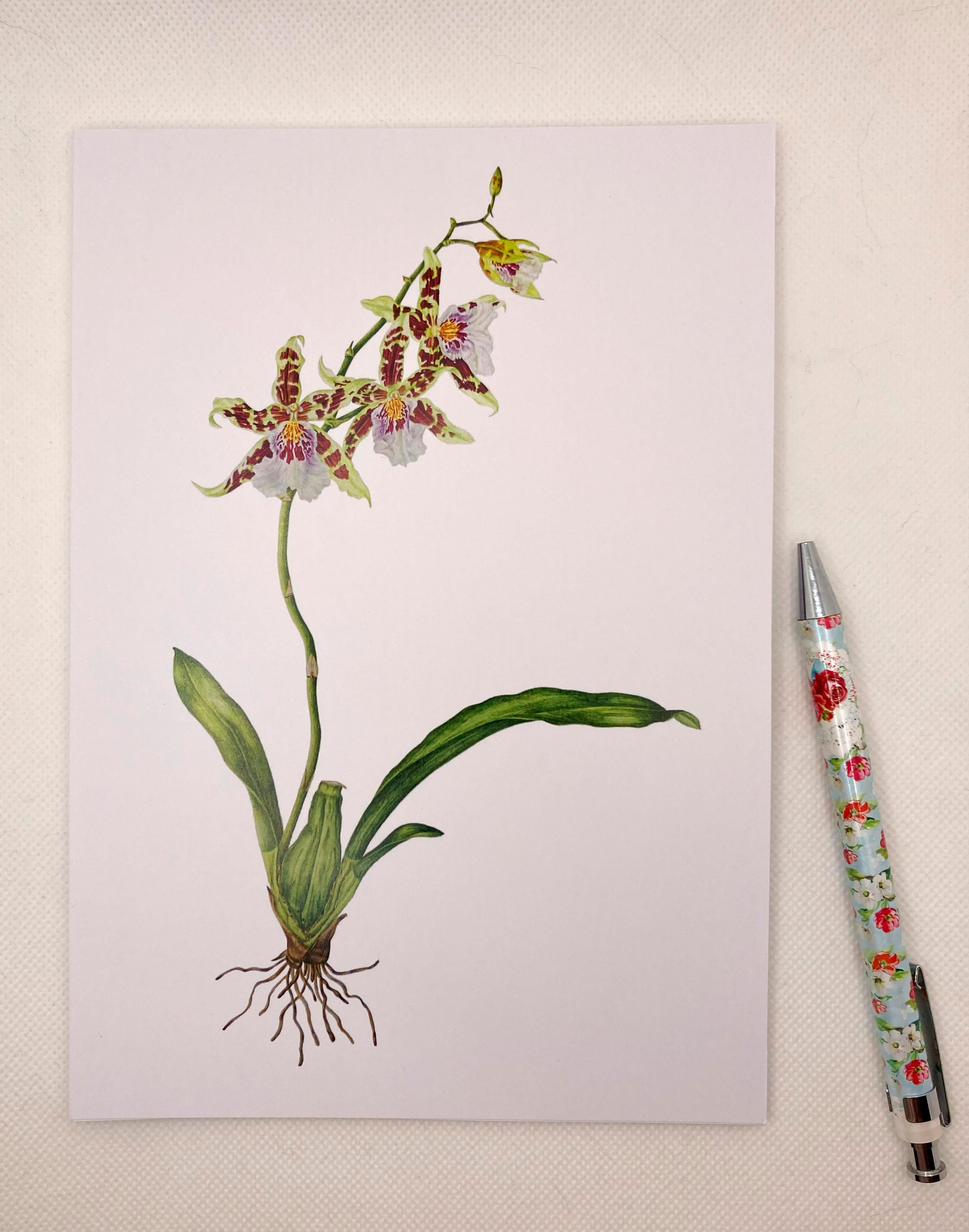 Oncidium Orchid Notebook