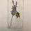 Thumbnail: Lavender Drypoint Etching