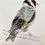Thumbnail: Goldfinch Drypoint Etching