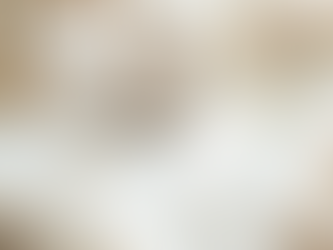 Budget Hacks to Organize a Luxury Micro Wedding in Miami