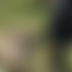 Month 5: Making Jesus My First Love