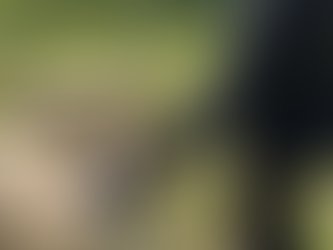 Month 5: Making Jesus My First Love