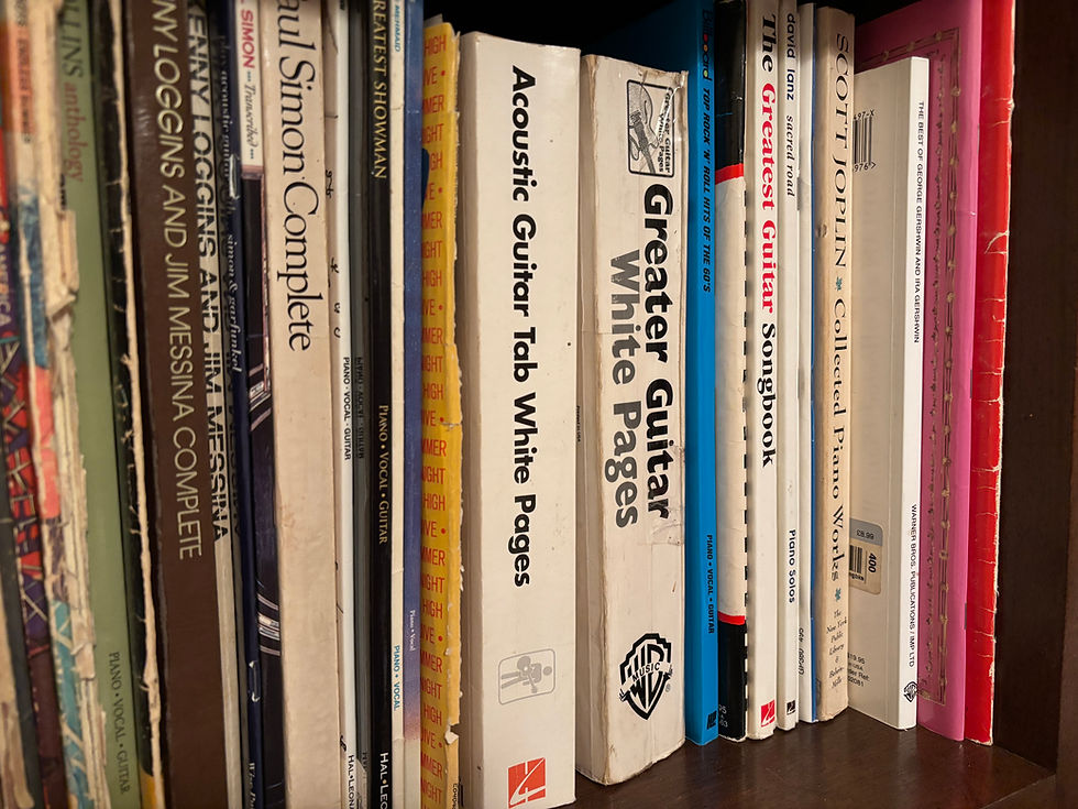 Maybe one day I'll learn something from one of these...