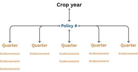 Hierarchy mock up.png