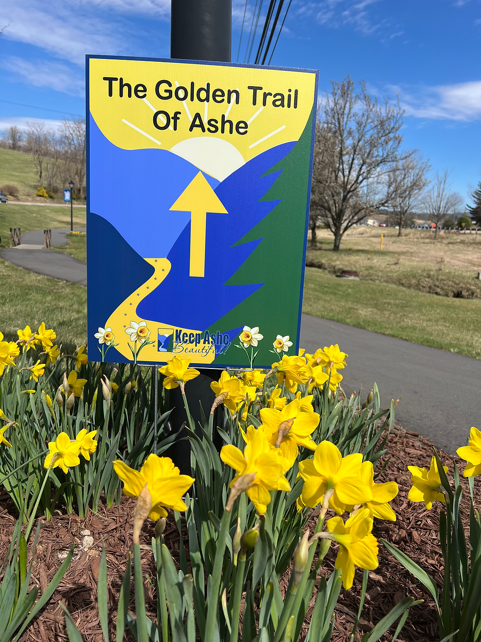 2026 Golden Trail of Ashe planting day