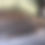 Thumbnail: Pitch Pine Beams