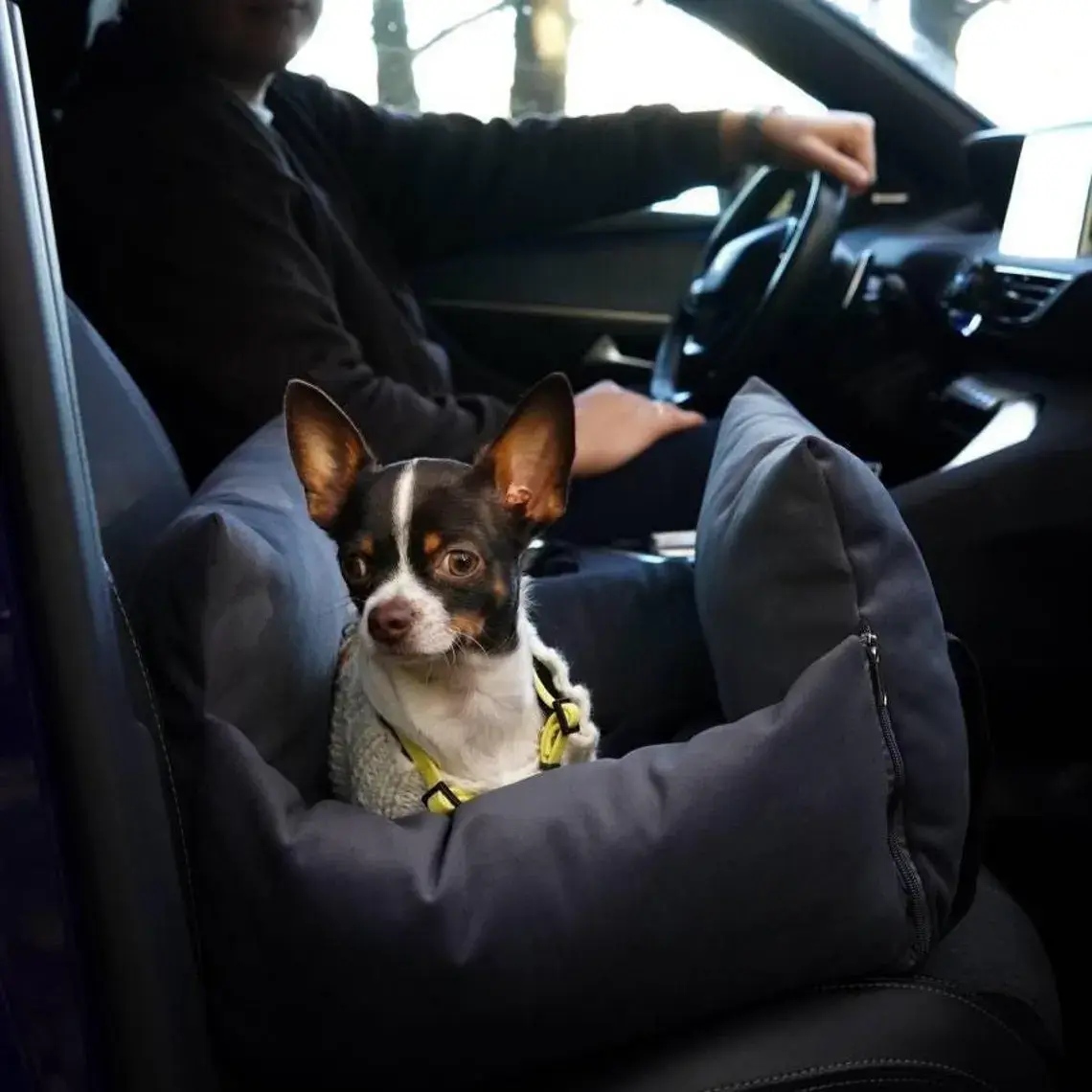 🐶Stylish Dog & Cat Bag with Safety Strap, Car Seat and Travel Bed