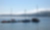 224327539_4281187258587206_8720384796398749965_n.jpeg