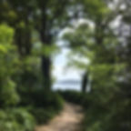 ree