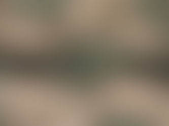 Keep Warm & Stay Well