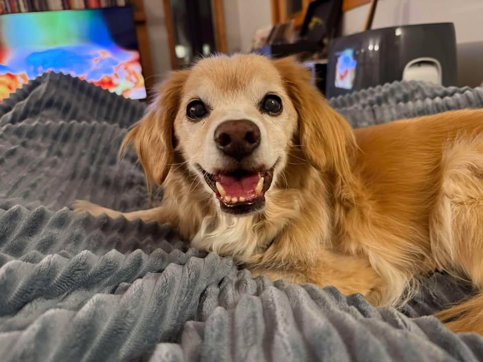 614900105_1443822617325201_1950562909153673317_n