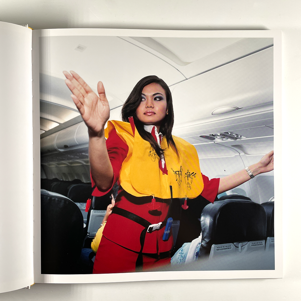Thumbnail: Flight Attendants (SIGNED) | Brian Finke