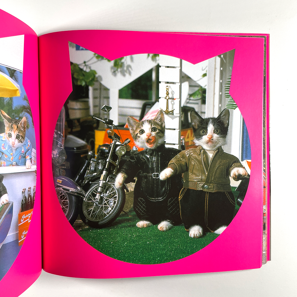 Thumbnail: Rock 'n' Roll Cats (Felines with Attitude) | Kyoichi Tsuzuki