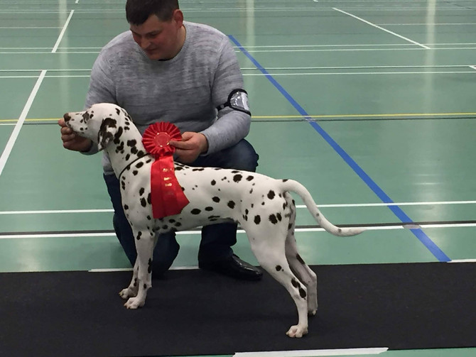 Ginny - Stort tillykke